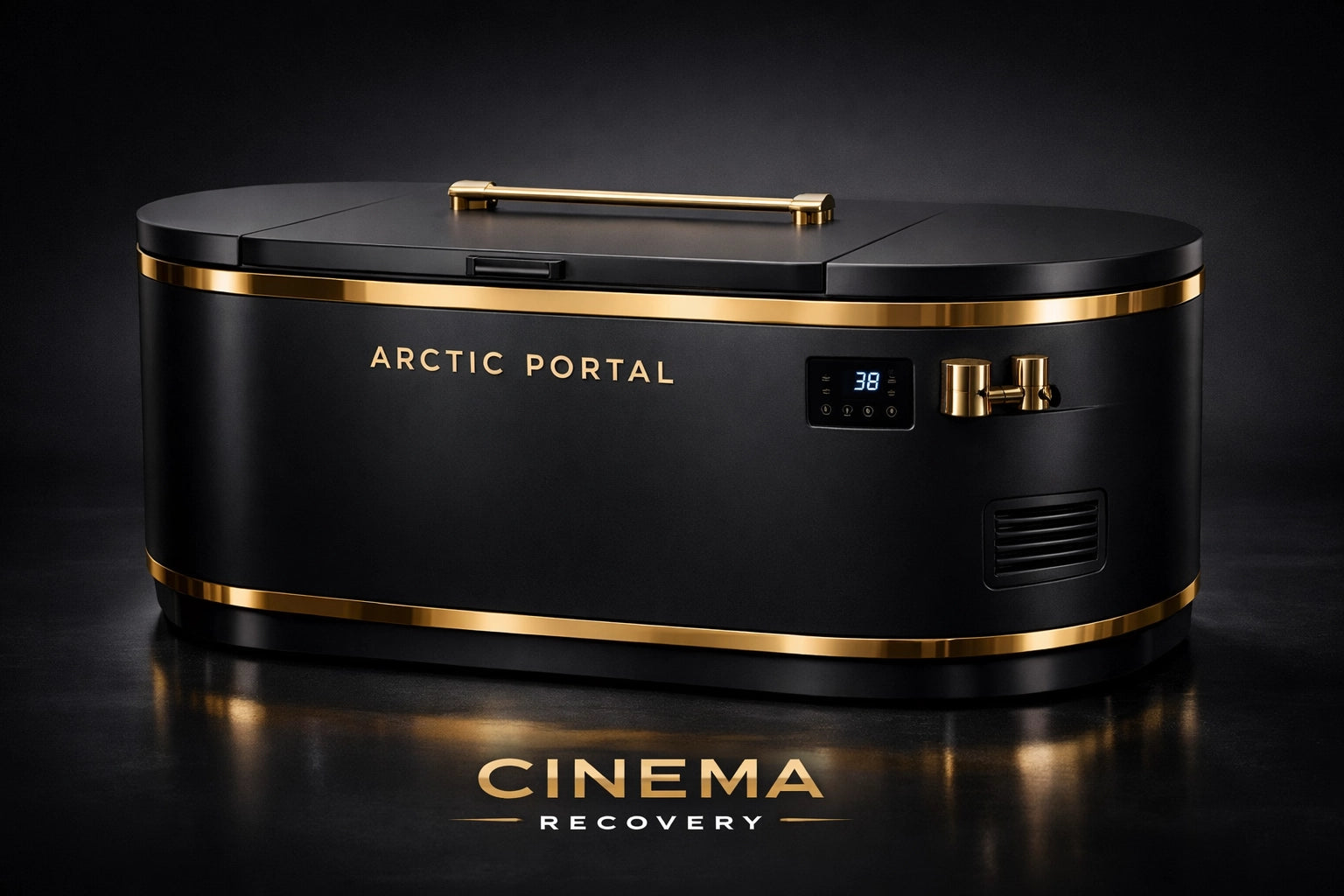 Cinema Recovery Arctic Portal